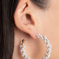 Yacht Royale - Gold Hoop Earring