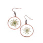 Happily Ever Eden - Copper Earring