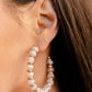 Glimpses of Malibu - Complete Trend Blend - December 2022